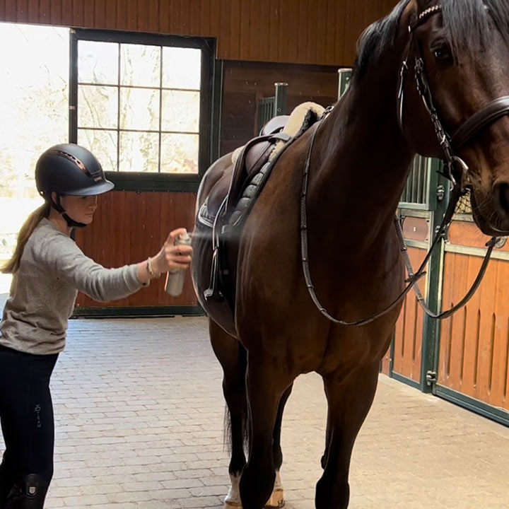 Slik påfører du Centaura på hesten din