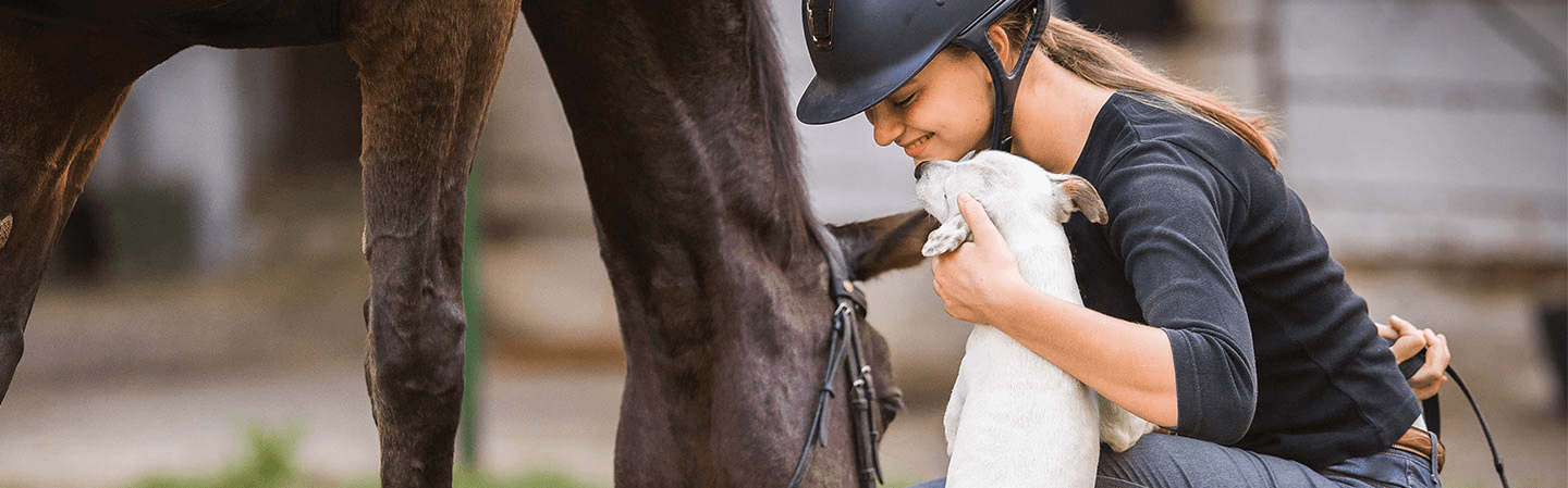 Beskytt deg selv, hunden og hesten din mot insekter